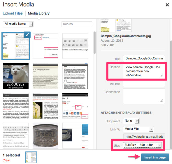 The attachment details and display settings for Insert Media in WordPress.